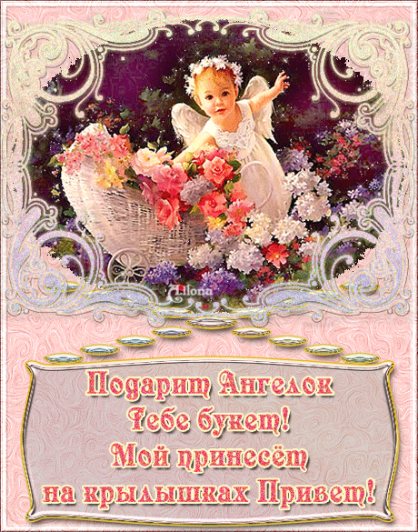 Живые подарки для подруги Живые подарки для подруги