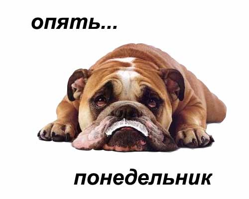 открытка Image 543 -  - понедельник