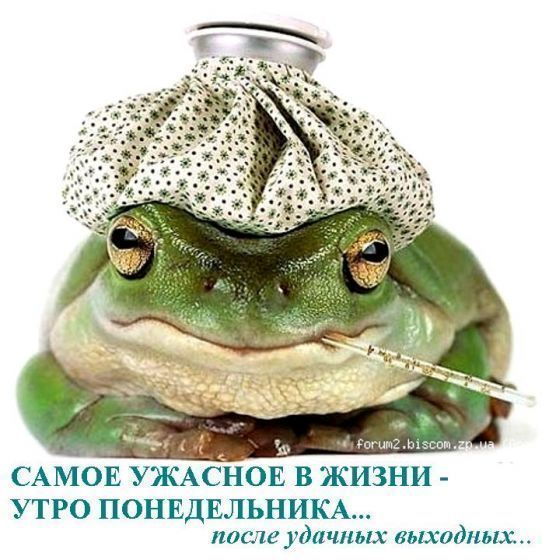 открытка 41 -  - понедельник