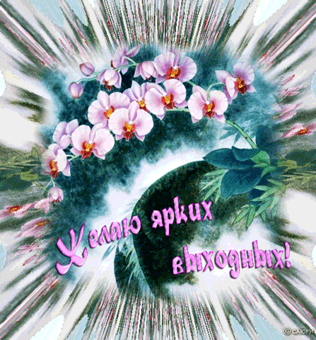 открытка 32246301_c11in -  - другие дни недели