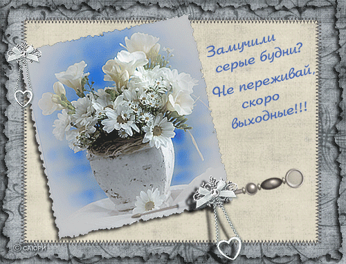 открытка 50015894_vuyh24in -  - другие дни недели
