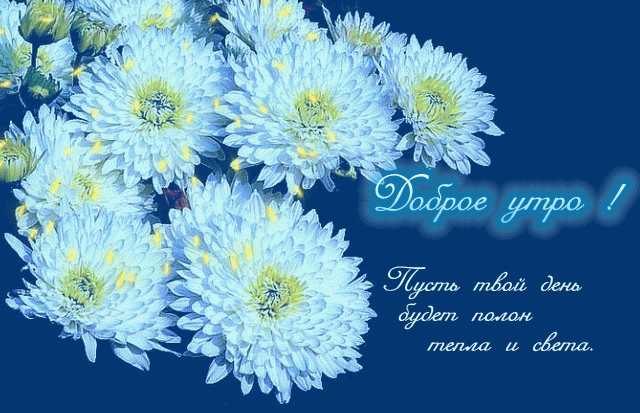 открытка 40 -  - доброе утро