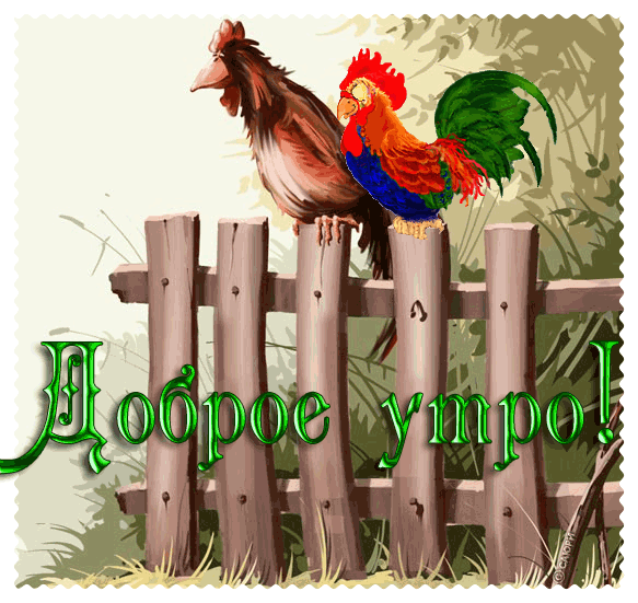 открытка 28437964_utro01in -  - доброе утро