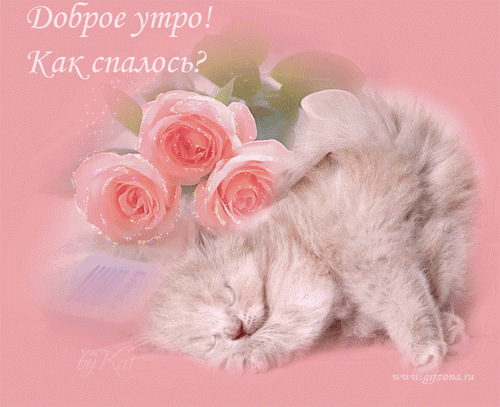 открытка 56 -  - доброе утро