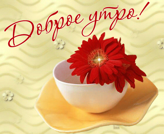 открытка 33781320_Duin5 -  - доброе утро