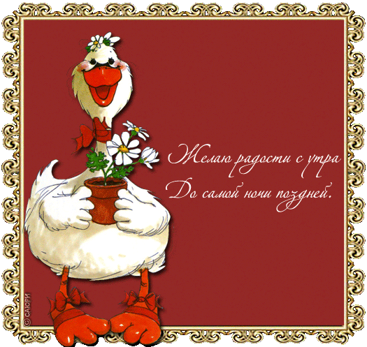 открытка 35590889_gus2in -  - доброе утро