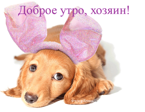 открытка 41 -  - доброе утро