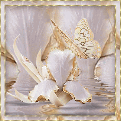 открытка Image 1463 -  - бабочки