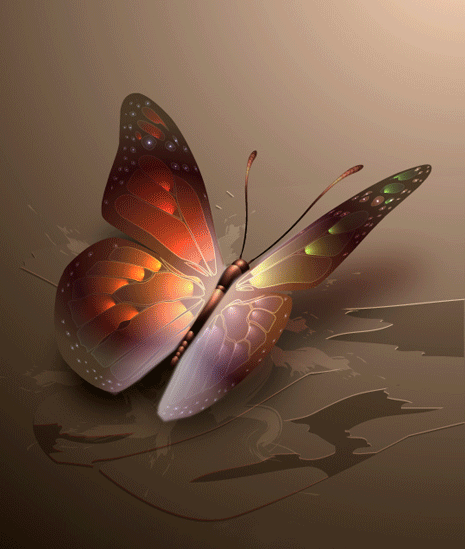 открытка Image 1461 -  - бабочки