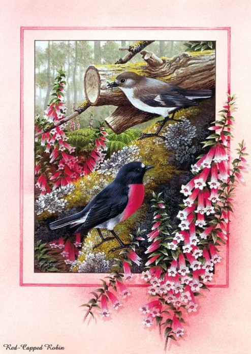 открытка 11 -  - птицы