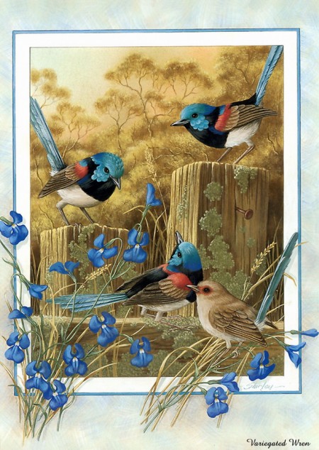 открытка Image 1433 -  - птицы