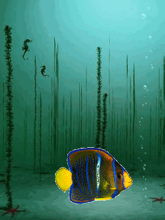 открытка Image 1494 -  - рыбы
