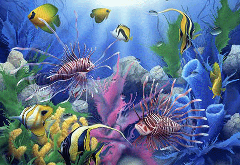 открытка Image 1493 -  - рыбы