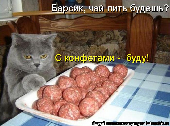 открытка 77 -  - котоматрица