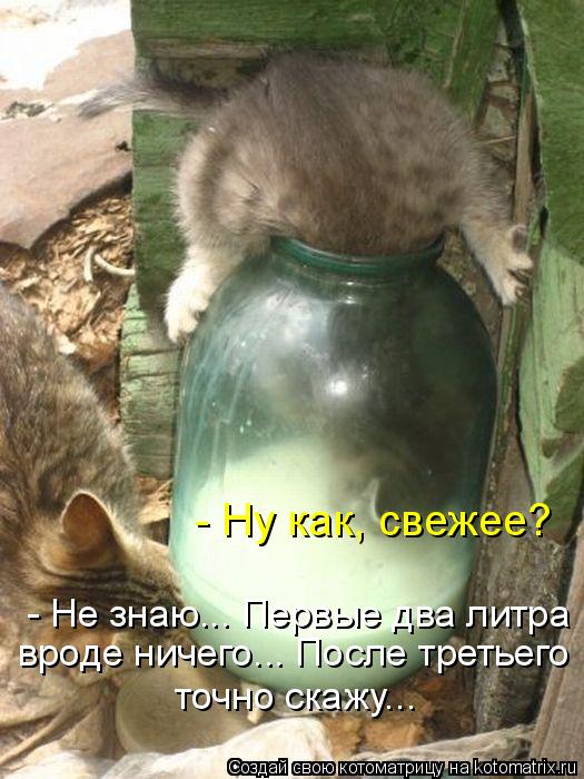 открытка 74 -  - котоматрица