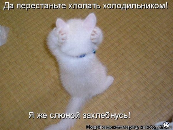 открытка 61 -  - котоматрица