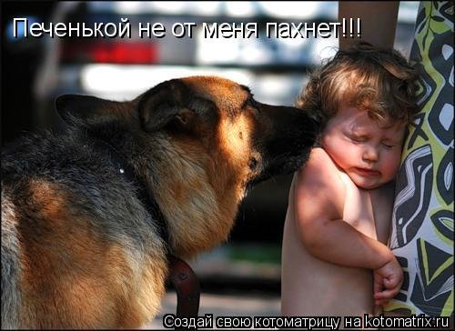 открытка 20 -  - собакоматрица