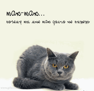 открытка 13 -  - вопросы