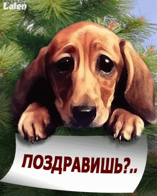 открытка 02 -  - вопросы