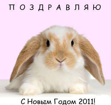 открытка 183 -  - приколы