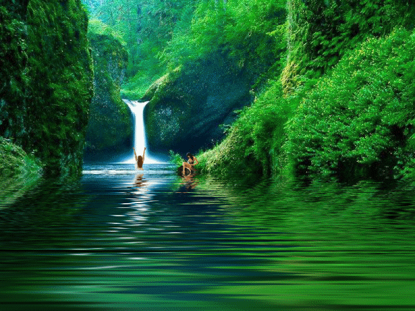открытка 20 -  - природа
