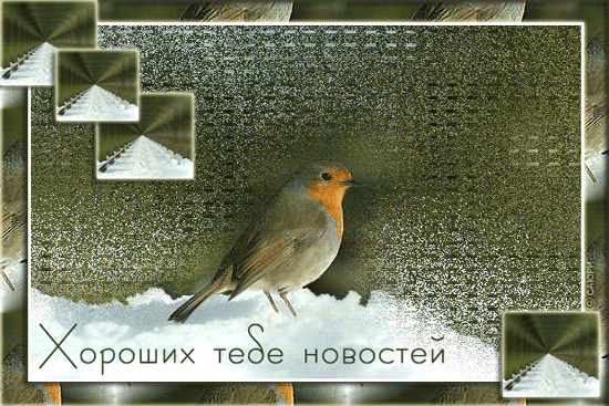 открытка 35828396_90_07_dinn -  - разное