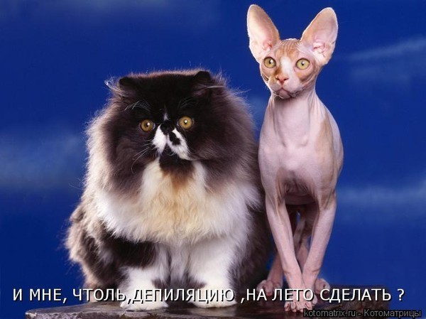открытка 20 -  - разное