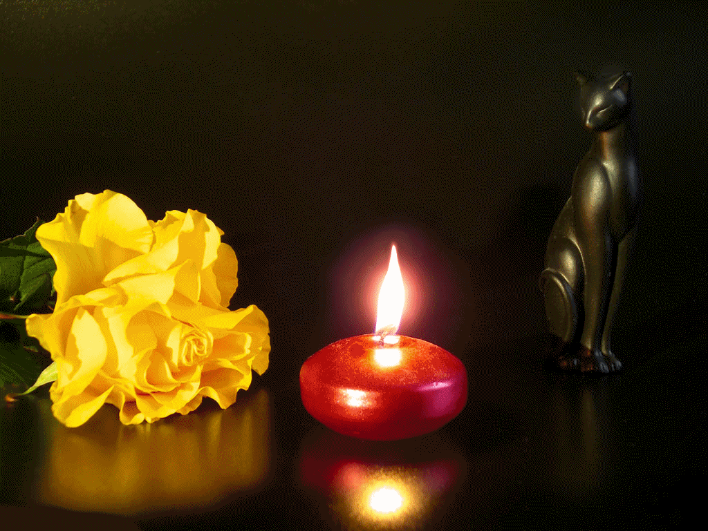 Поминальная свеча. Свеча и цветы скорби. Свеча памяти. Траурные свечи и цветы. Память gif