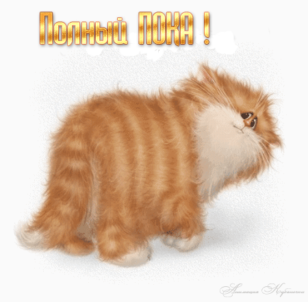 открытка Image 292 -  - пока