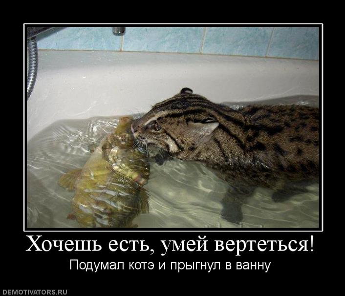 открытка 12 -  - рыбаку