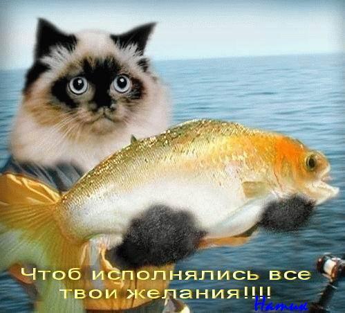 открытка Image 2679 -  - рыбаку