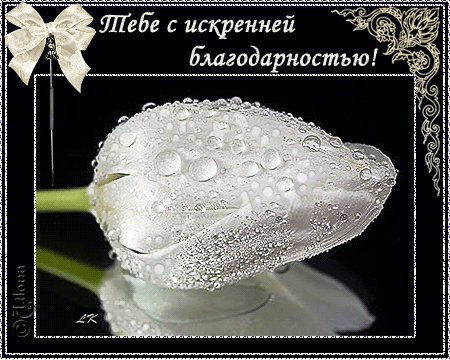 открытка e8ebec92a7bc -  - спасибо