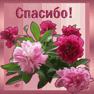 открытка 22 -  - спасибо