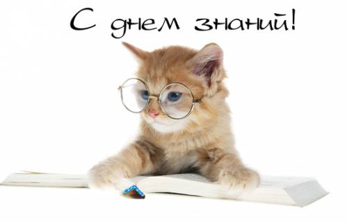 открытка 826358244 -  - день знаний