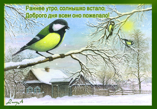 открытка 0_579b0_4db4004e_XL -  - пожелания