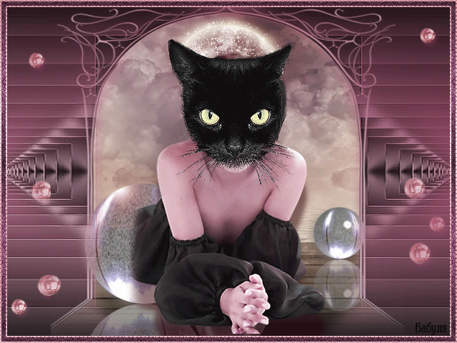 открытка Image 3214 -  - день черного  кота